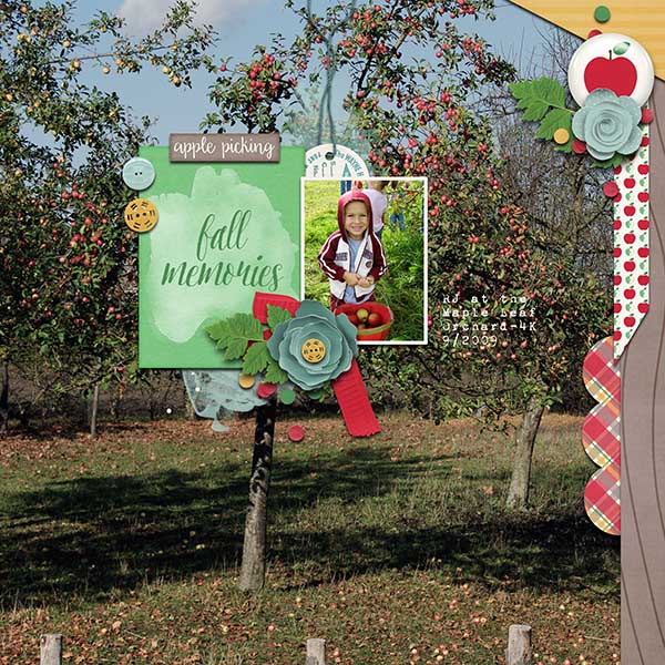 Apple Picking