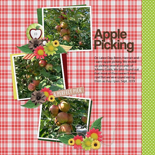 Apple Picking