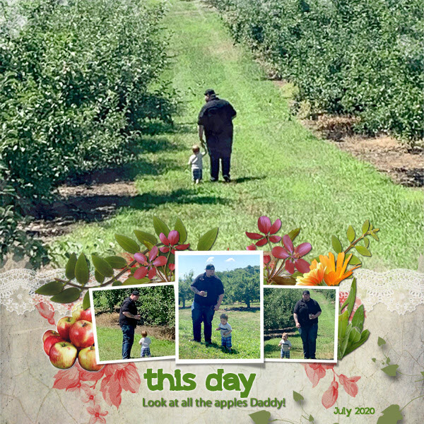 Apple Picking