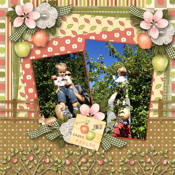 Apple Picking