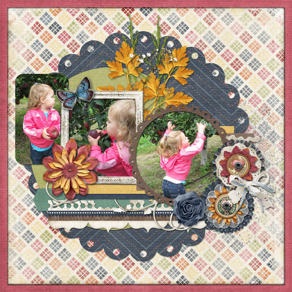 Apple Picking