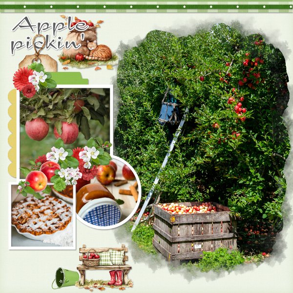 Apple picking
