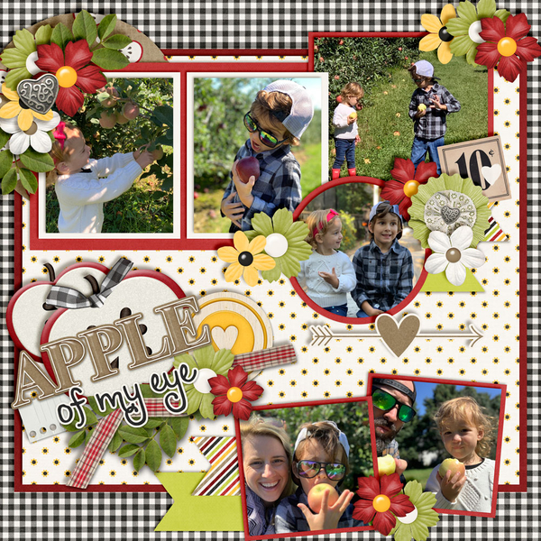 Apple-Picking8
