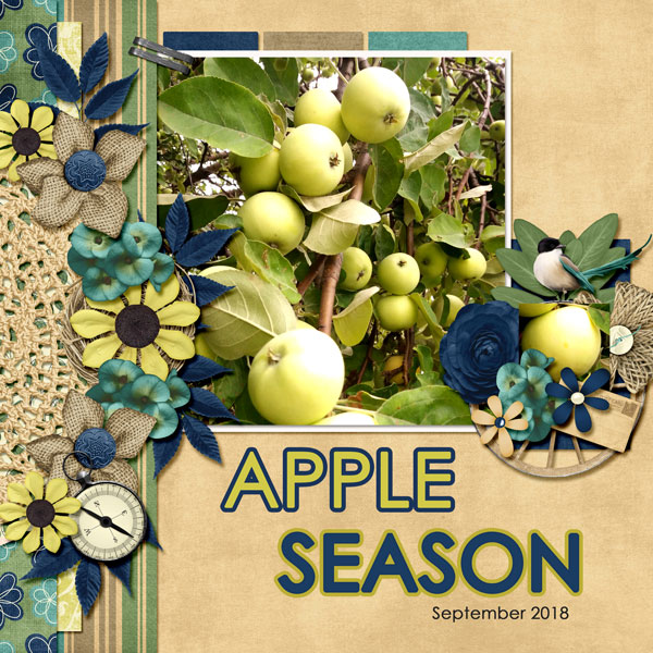 Apple Season