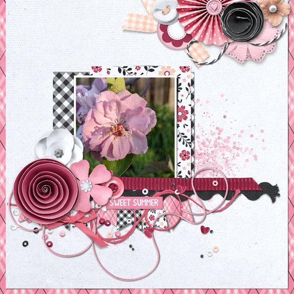 Apple Tree Flower