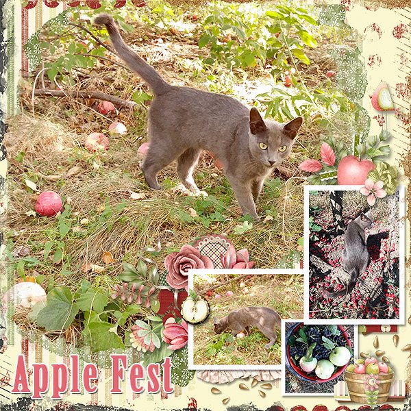 AppleFest_ollitko_600.jpg