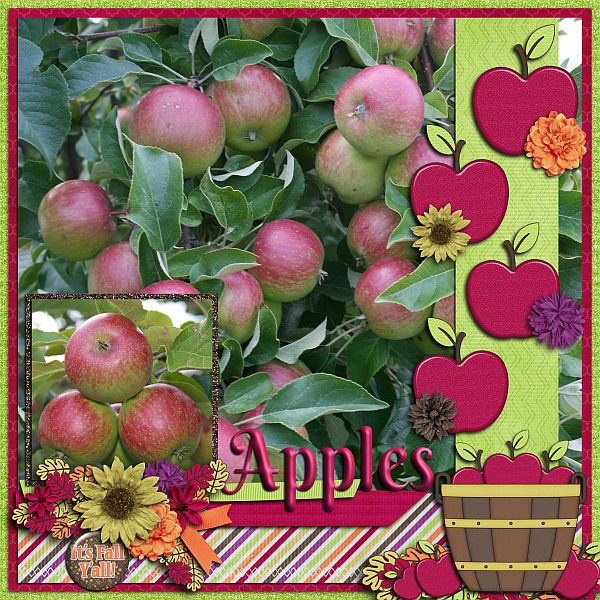 Apples