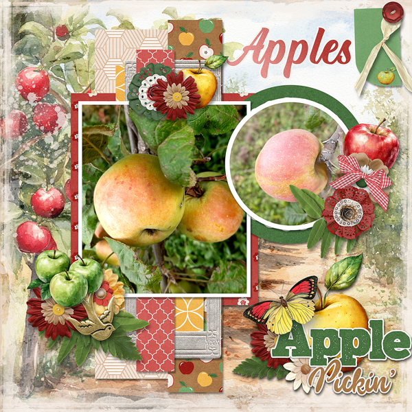 Apples