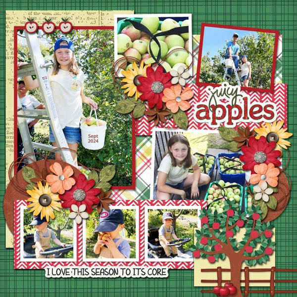 Apples