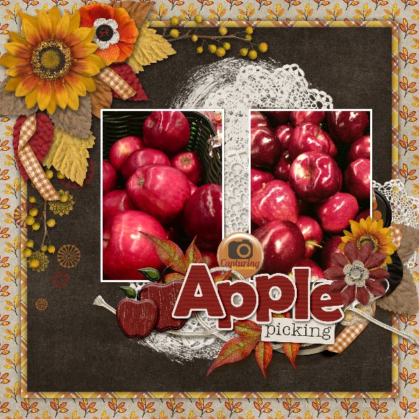Apples