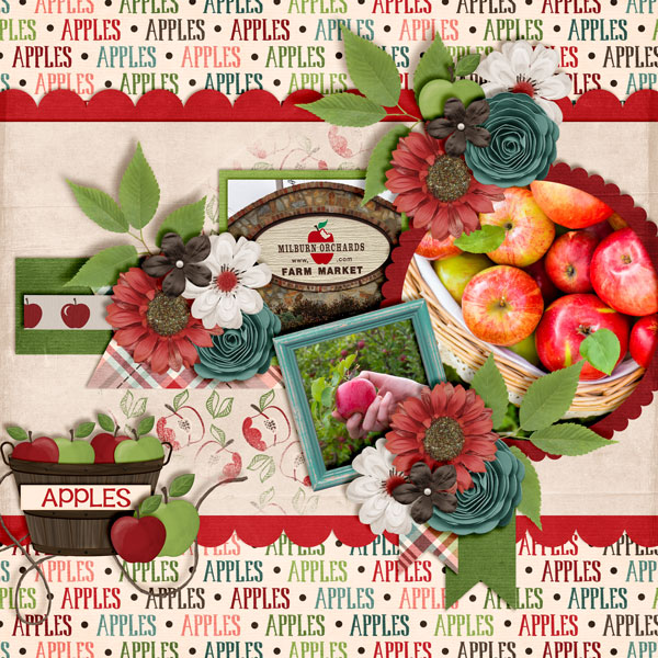 Apples13