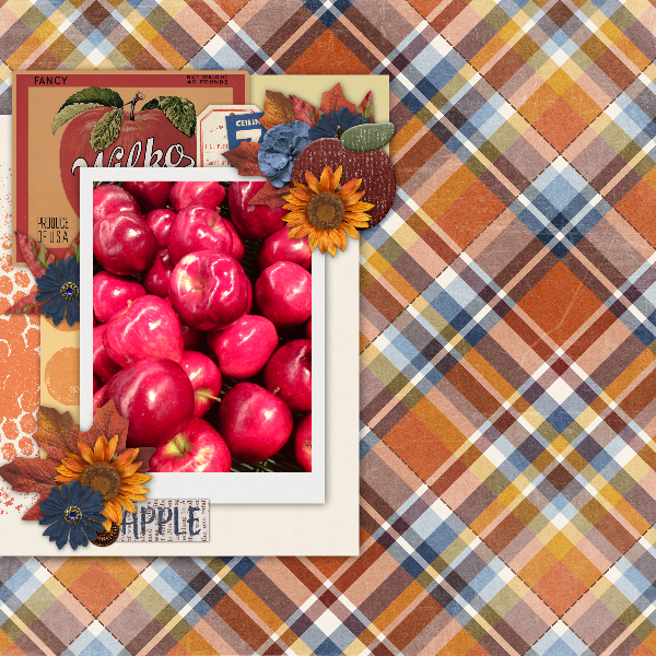 apples16
