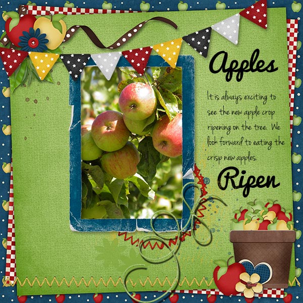 Apples_ripen