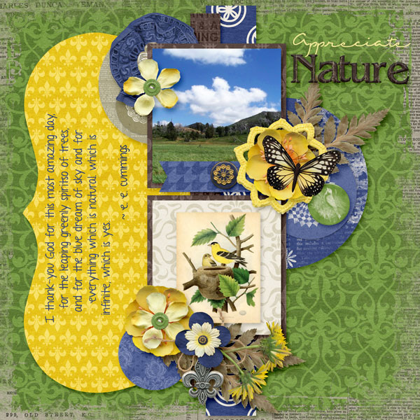 Appreciate Nature