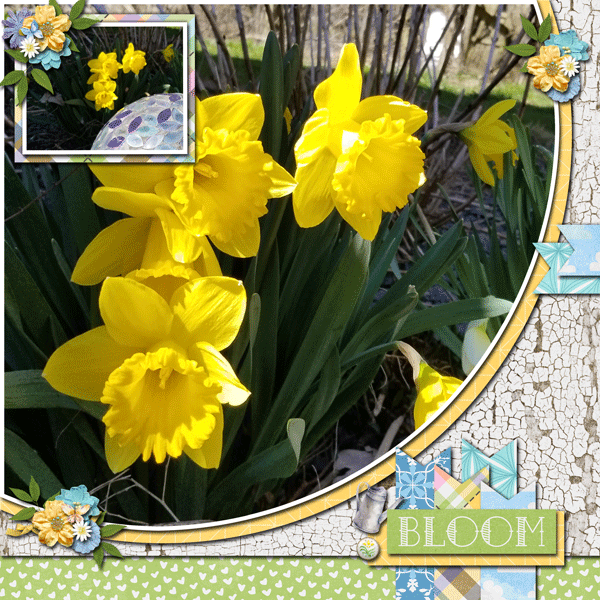 Apr-20-A-Year-of-Blessings