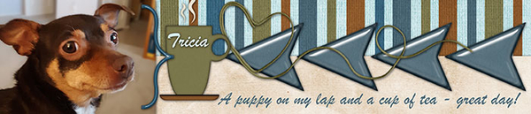Apr 2020 Siggy