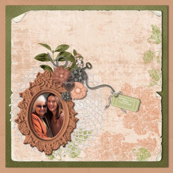 Apricot Delight