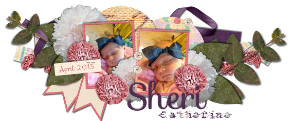 April 2015 Siggy