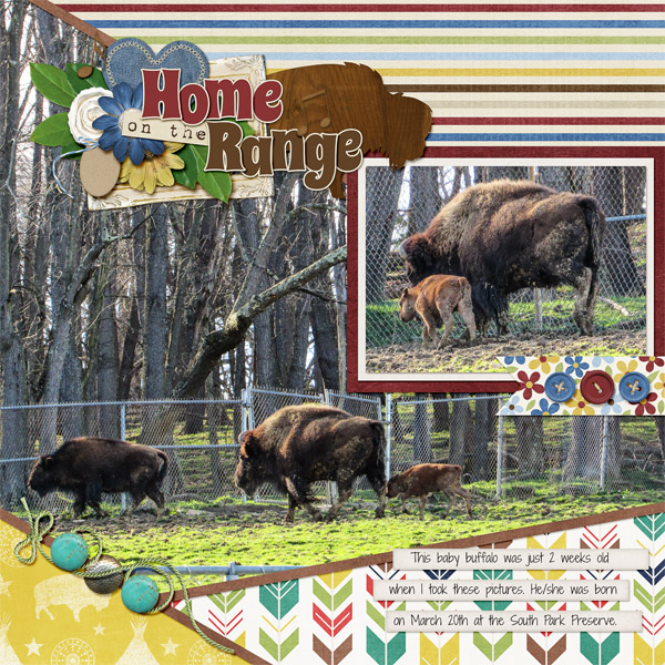 April 2017 Inspiration Challenge