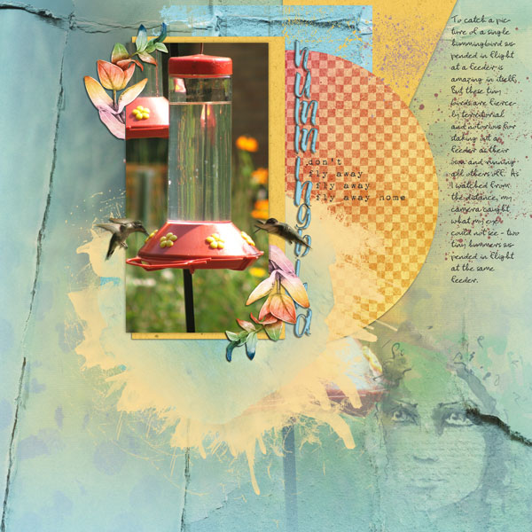 April 2018 - Hummingbird