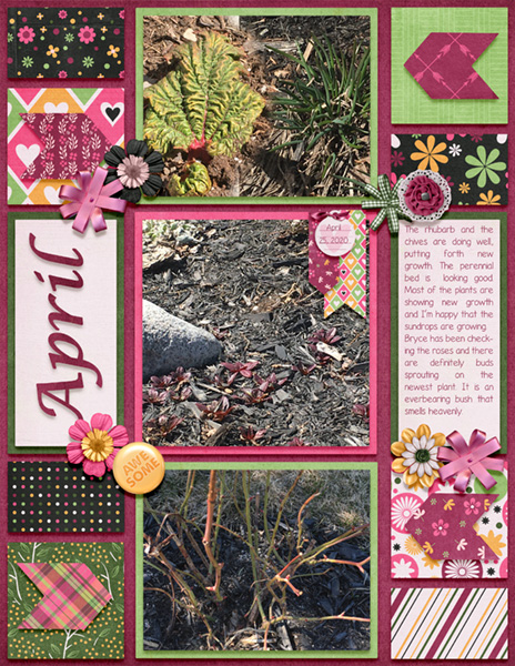 April 2020 Daily Download Challenge - April Growth