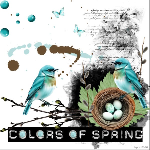 April 2026-Recipe Challenge - Eggs in a birdnest..jpg