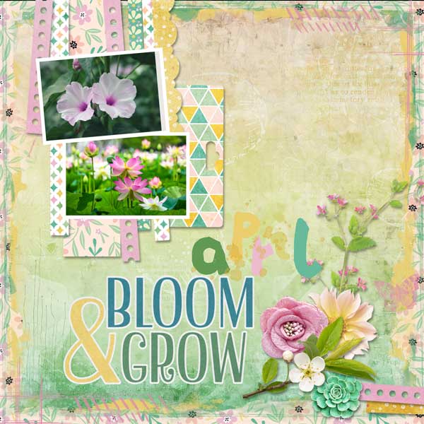 april-feeling-carol-w-CTD_C