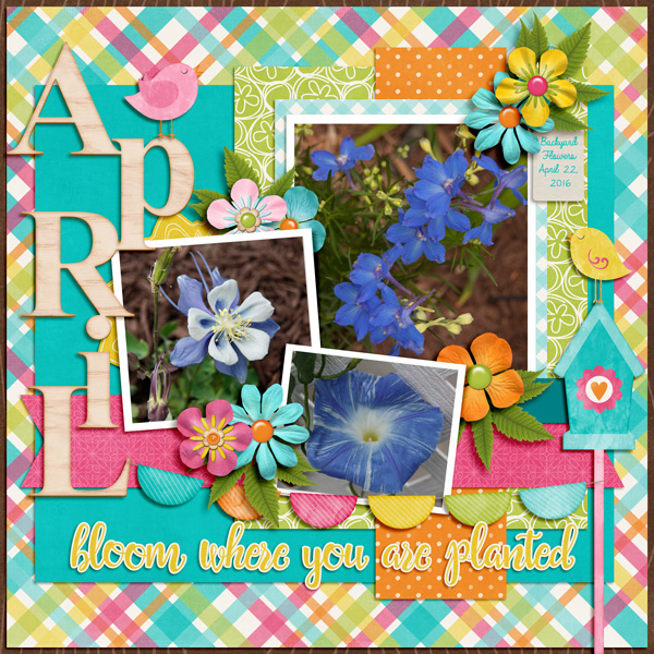 April Flowers