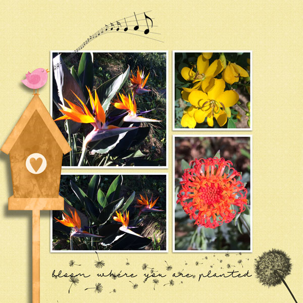 April flowers