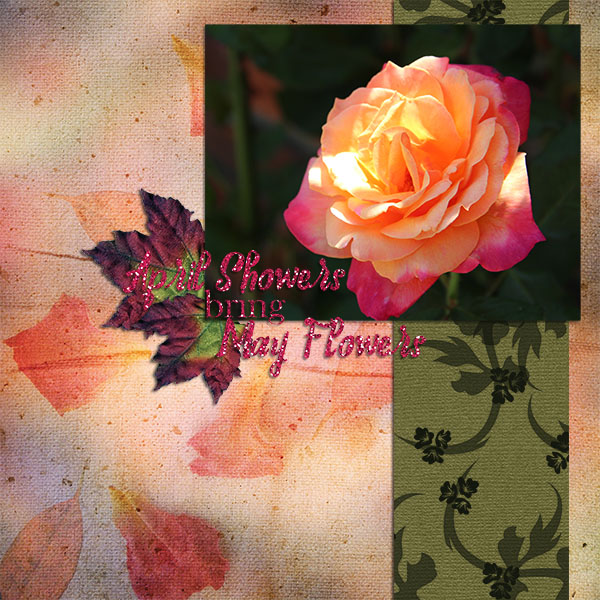 April Showers Bring May Flowers