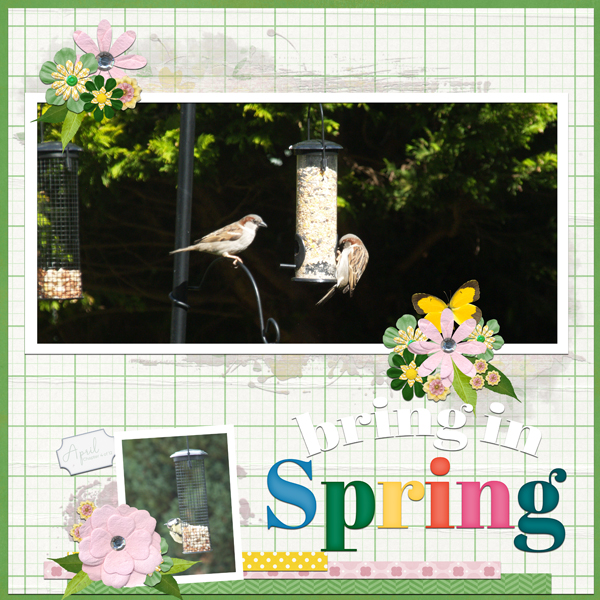 April Sparrows