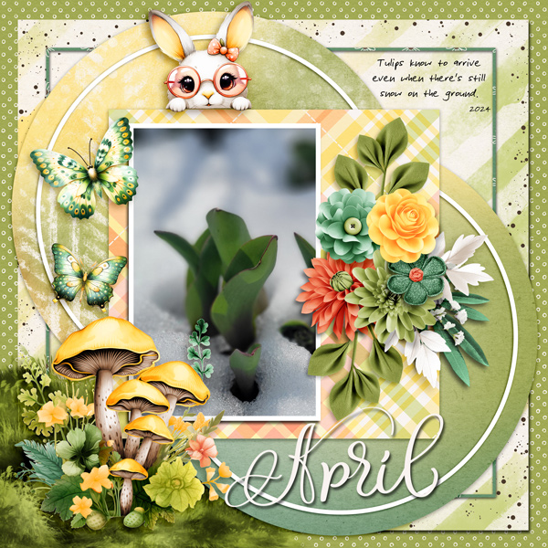 April Tulips Emerging 20204