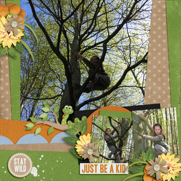 Aprilisa Designs - Lost in Nature / Aprilisa Designs - Picture Perfect 71 T