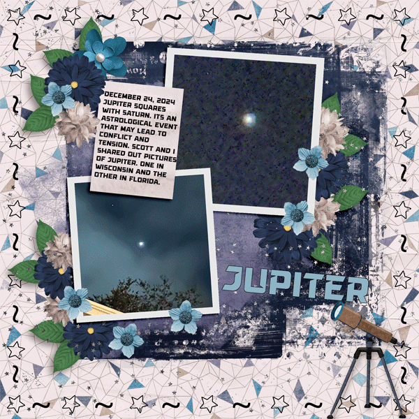 Aprilisa_PicturePerfect301_template2-s2-card-copy.gif