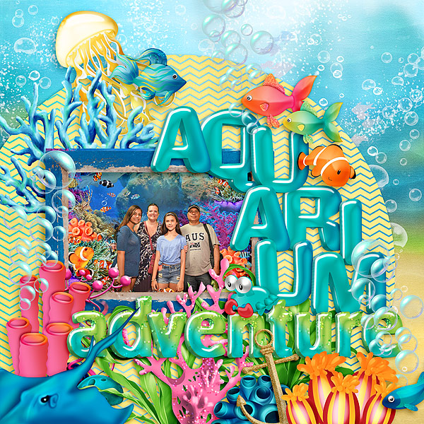 Aquarium adventure