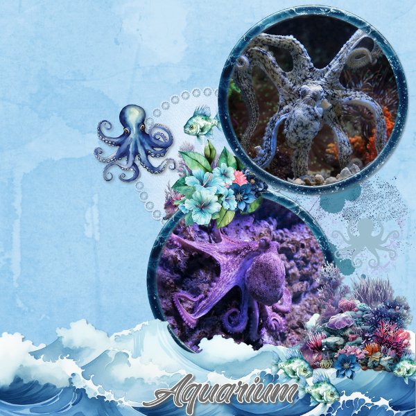 aquarium.jpg