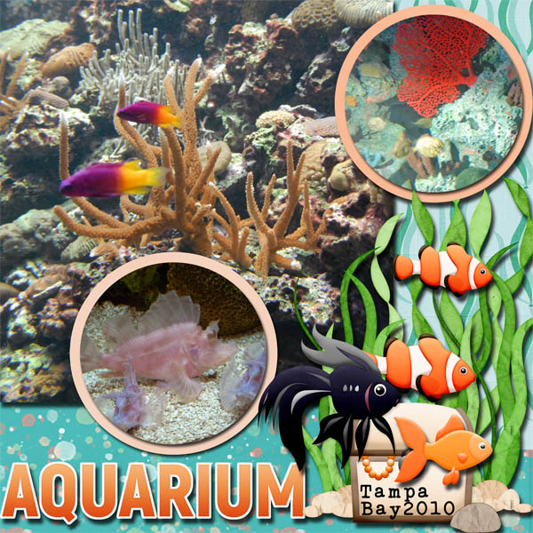 Aquarium Life