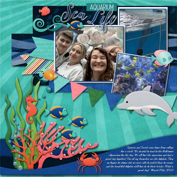 Aquarium Sea Life