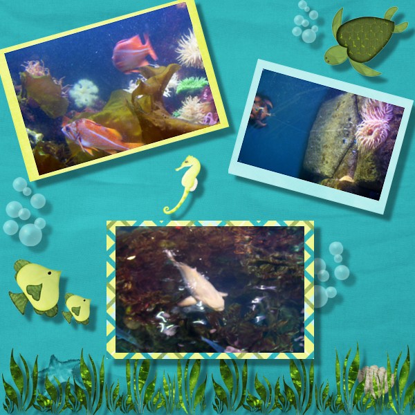 Aquarium Trip 2
