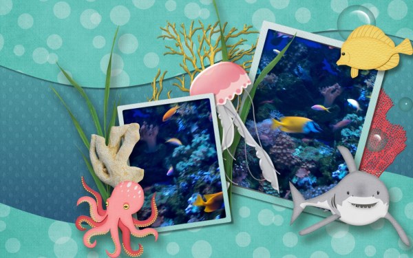 Aquarium