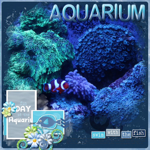 Aquarium