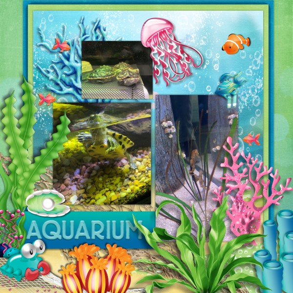 Aquarium