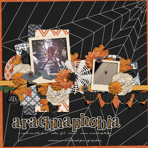 arachnaphobia
