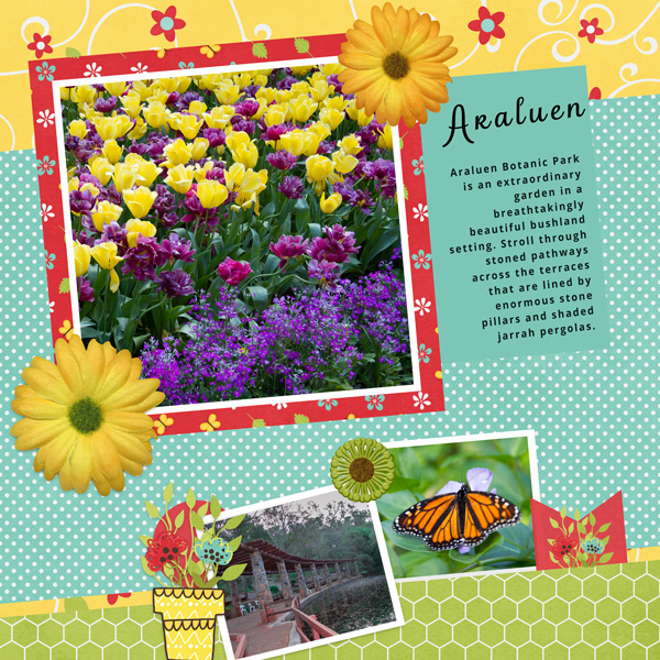 Araluen in Spring