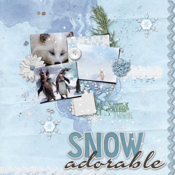 Arctic Animals