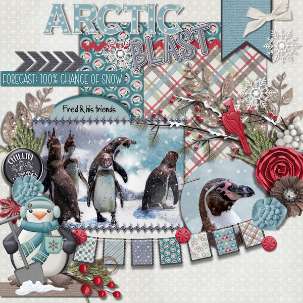 Arctic Blast