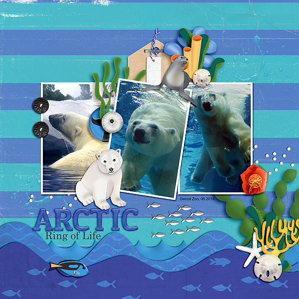 Arctic Ring of Life