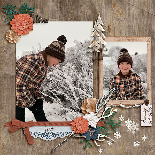 Arctic Tundra