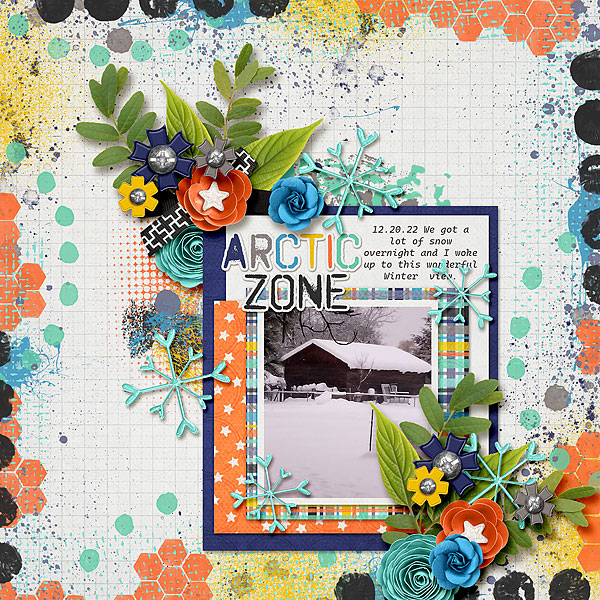 Arctic Zone