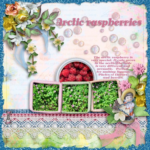Arctic_raspberries